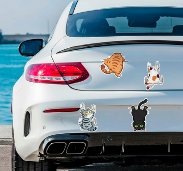 Adesivo per auto gatto adesivo 3d effetto realistico - TenStickers