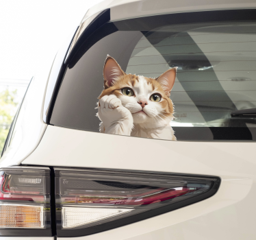 Adesivo per auto gatto che pensa - TenStickers