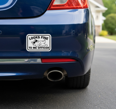Adesivo per auto va bene così, ufficiale - TenStickers