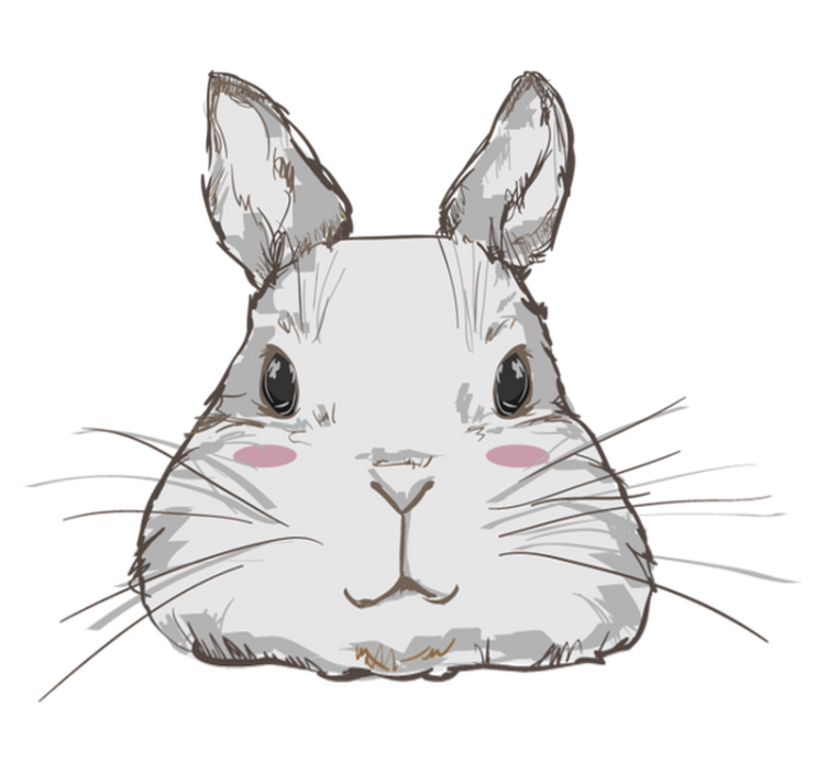 Tappeto vinile animali testa di coniglio carina - TenStickers