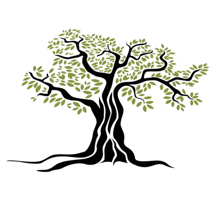 Tappeto vinile fiori albero di olivo con foglie verdi - TenStickers