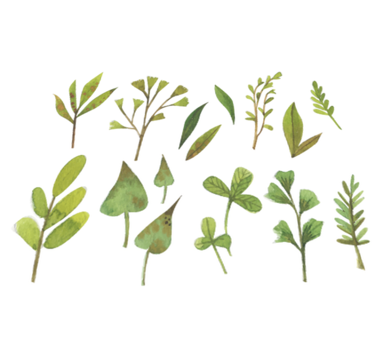 Tappeto vinile fiori foglie piccole aquarella - TenStickers