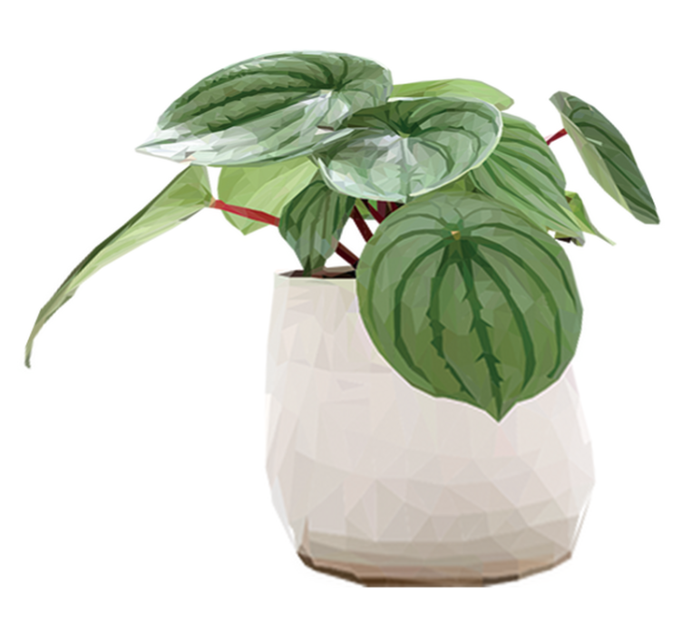 Tappeto vinile fiori pianta semplice da casa - TenStickers