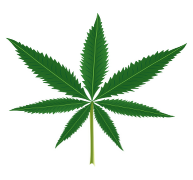 Tappeto vinile fiori foglia di marijuana - TenStickers