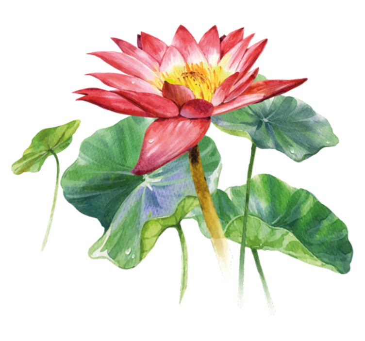 Tappeto vinile camera da letto illusione acquerello loto - TenStickers