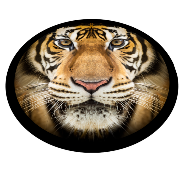 Tappeto vinile animali primo piano della tigre - TenStickers