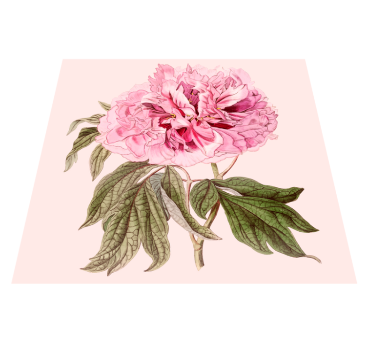 Tappeto vinile fiori fiore di peonia rosa - TenStickers