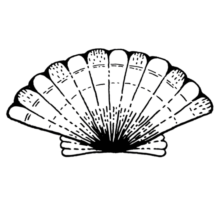 Tappeto vinile natura accento con motivo a conchiglia - TenStickers