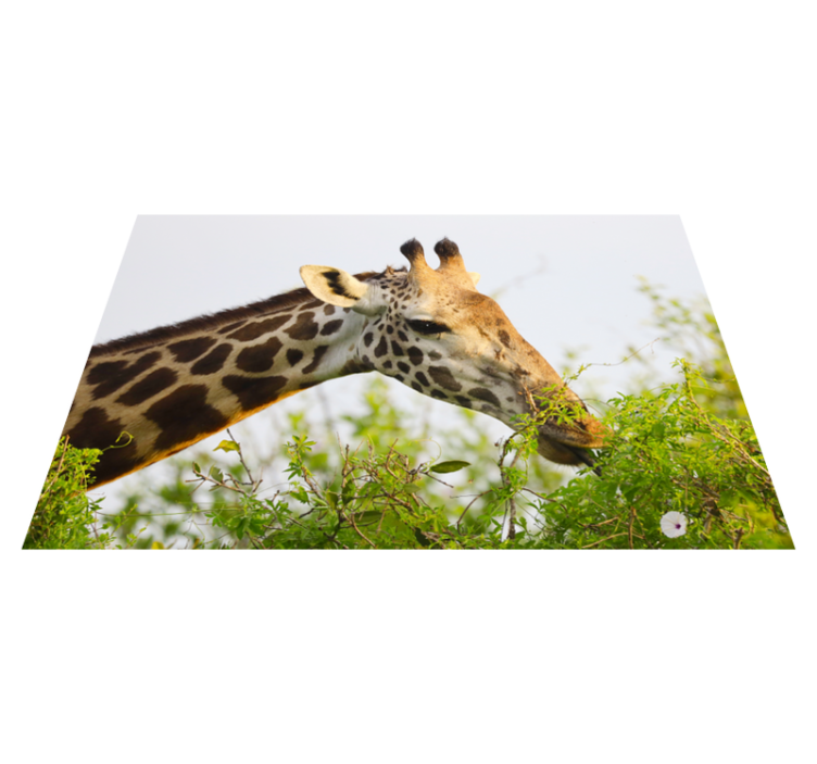 Tappeto vinile animali giraffa che mangia verdure - TenStickers