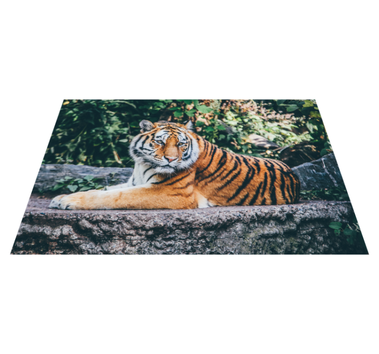 Tappeto vinile animali maestosa tigre sdraiata - TenStickers