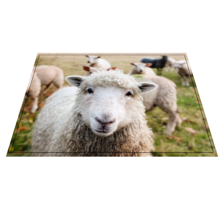 Tappeto vinile animali faccia da pastore riccio - TenStickers