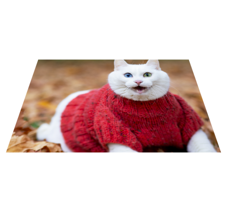 Tappeto vinile animali maglione a forma di gatto giocoso - TenStickers