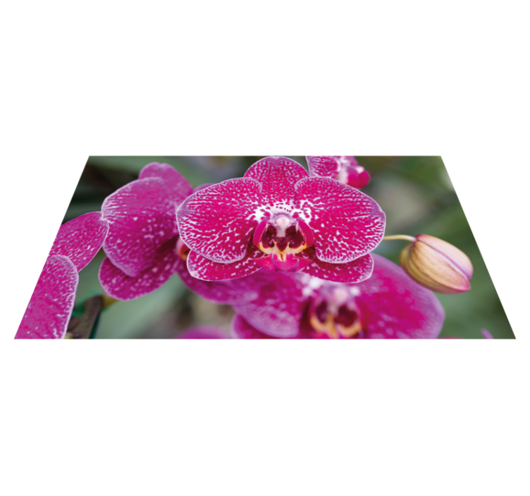 Tappeto vinile fiori vivaci fioriture di orchidee - TenStickers