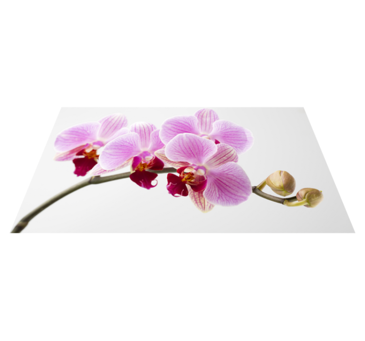 Tappeto vinile fiori disegno di orchidea rosa - TenStickers