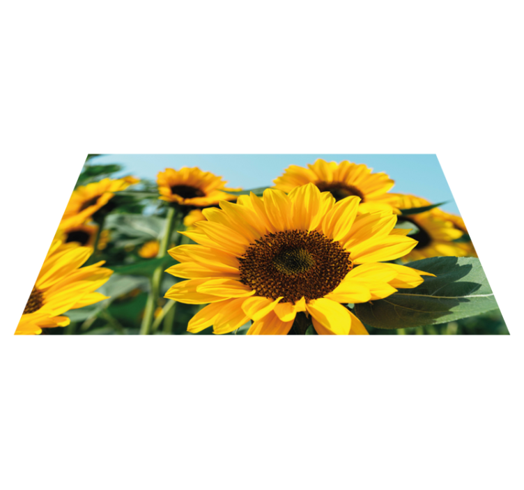 Tappeto vinile fiori disegno di girasole luminoso - TenStickers