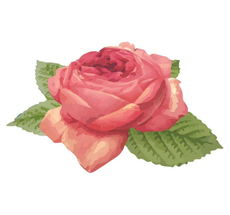 Tappeto vinile fiori fiore di rosa vibrante - TenStickers