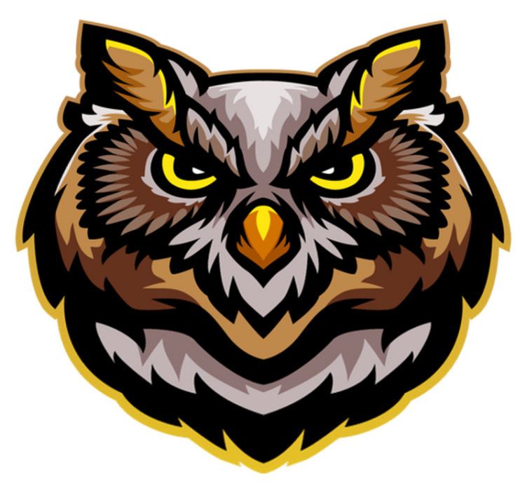 Tappeto vinile animali arte del viso del gufo - TenStickers