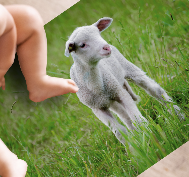 Tappeto vinile animali agnello in piedi - TenStickers