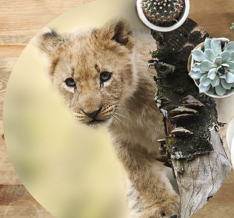 Tappeto vinile stampa animale cucciolo di leone curioso - TenStickers