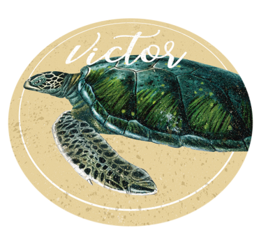 Tartaruga marina con nome tappeto in vinile personalizzato - TenStickers