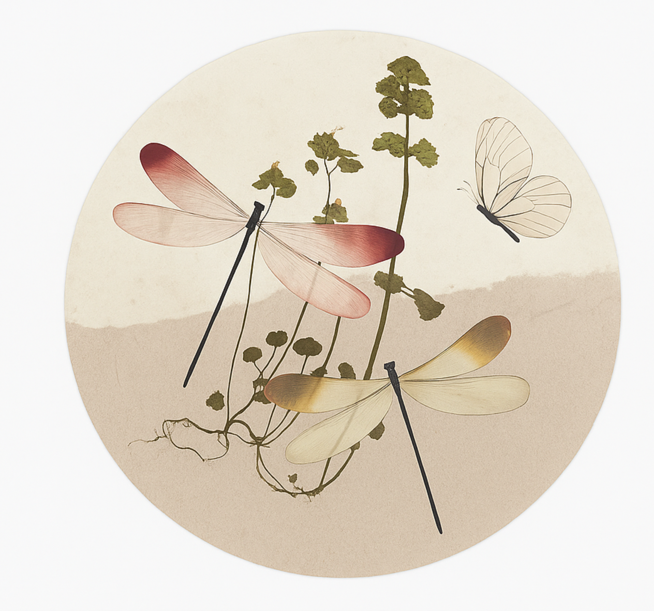 Tappeto vinile sala da pranzo collage di natura pressata - TenStickers