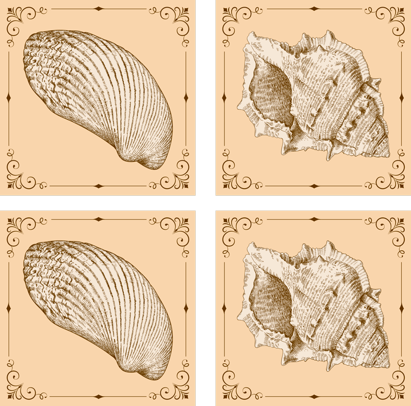 Tappeto vinile animali con conchiglie vintage - TenStickers