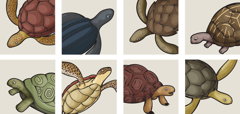 Tappeto vinile animali piastrelle tartarughe - TenStickers