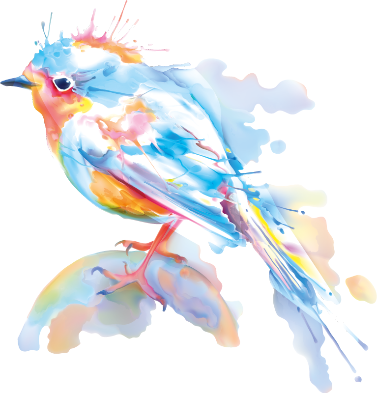 Tappeto vinile animali schiuma di uccelli - TenStickers