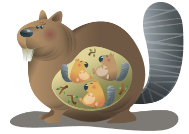 Tappeto vinile animali madre scoiattolo - TenStickers