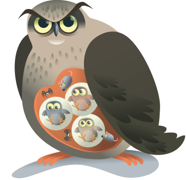 Tappeto vinile animali gufo madre - TenStickers