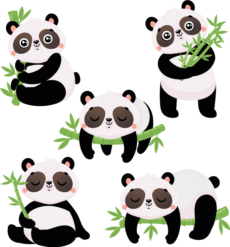 Tappeto vinile animali illustrazioni panda carine - TenStickers