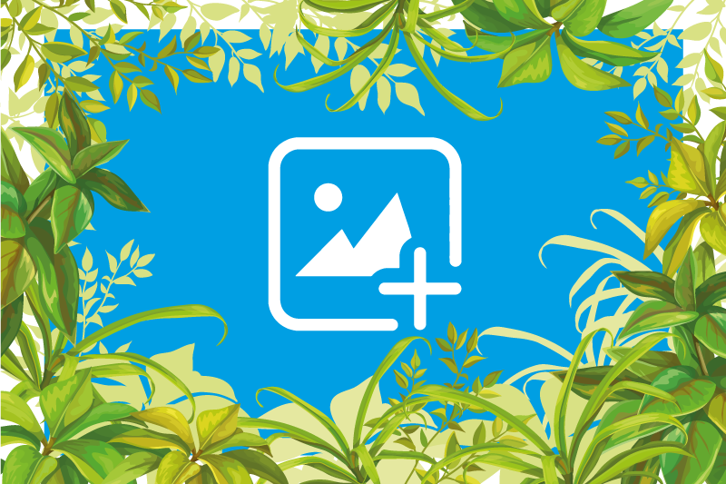 Tappeto vinile animali gatto tra il verde - TenStickers