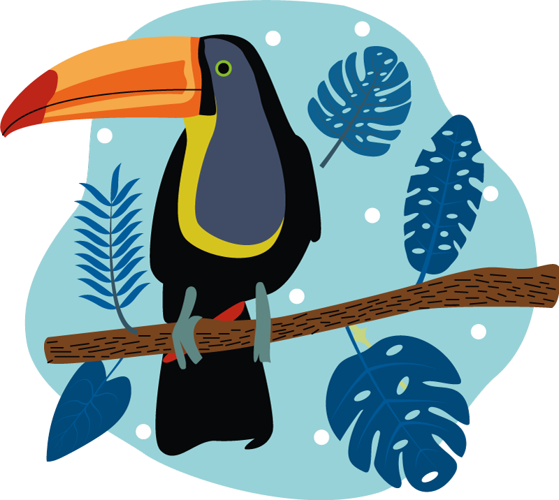 Tappeto vinile animali tucano tropicale in posizione - TenStickers