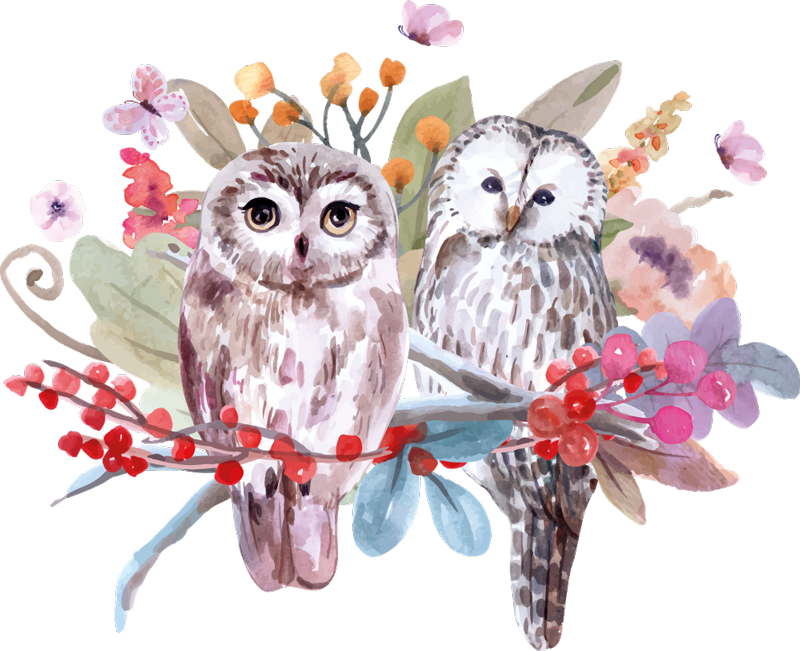 Tappeto vinile animali gufo nella natura - TenStickers