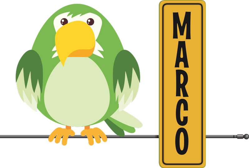 Tappeto vinile animali pappagallo selvatico personalizzato - TenStickers