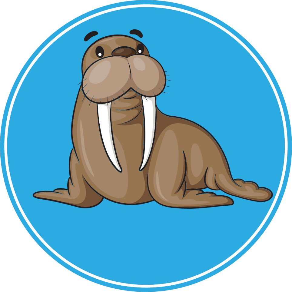Tappeto vinile animali personaggio foca carina - TenStickers
