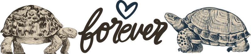 Tappeto vinile animali tartarughe per sempre amore - TenStickers