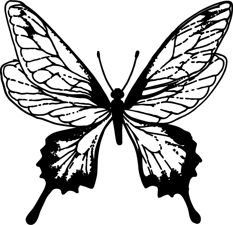 Tappeto vinile animali silhouette di farfalla elegante - TenStickers