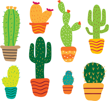 Tappeto vinile fiori pacchetto cactus colorati - TenStickers