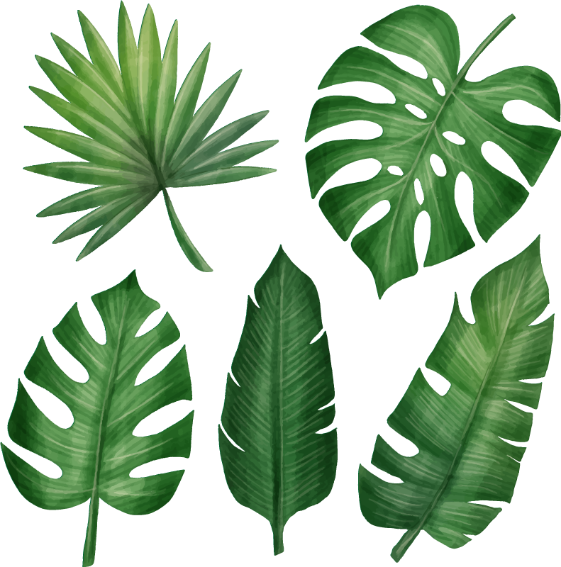 Tappeto vinile fiori collezione foglie tropicali realistiche - TenStickers