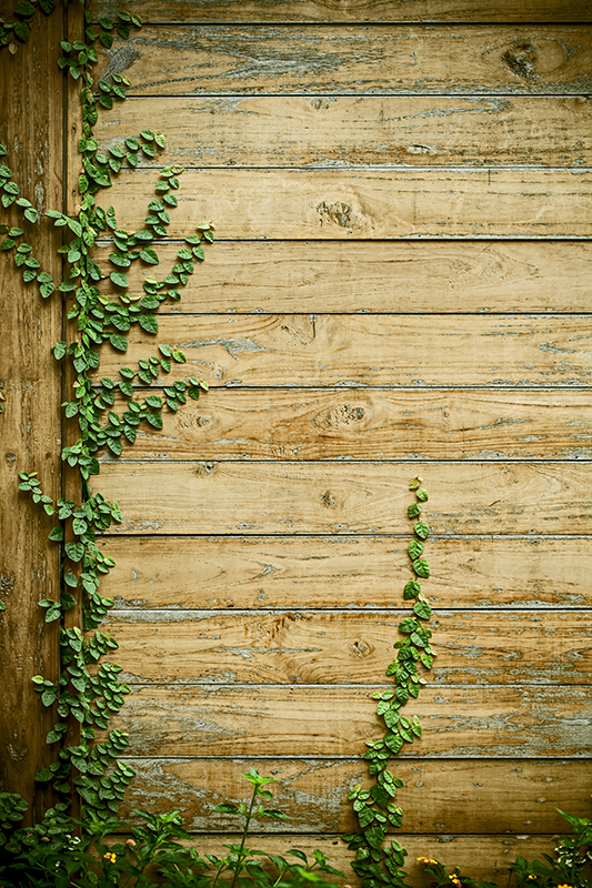 Tappeto vinile fiori viti su legno - TenStickers