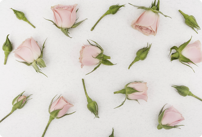 Tappeto vinile fiori fiori romantici di primavera - TenStickers