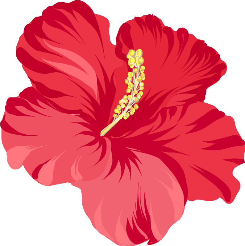 Tappeto vinile fiori kit fiori di ibisco rosso - TenStickers