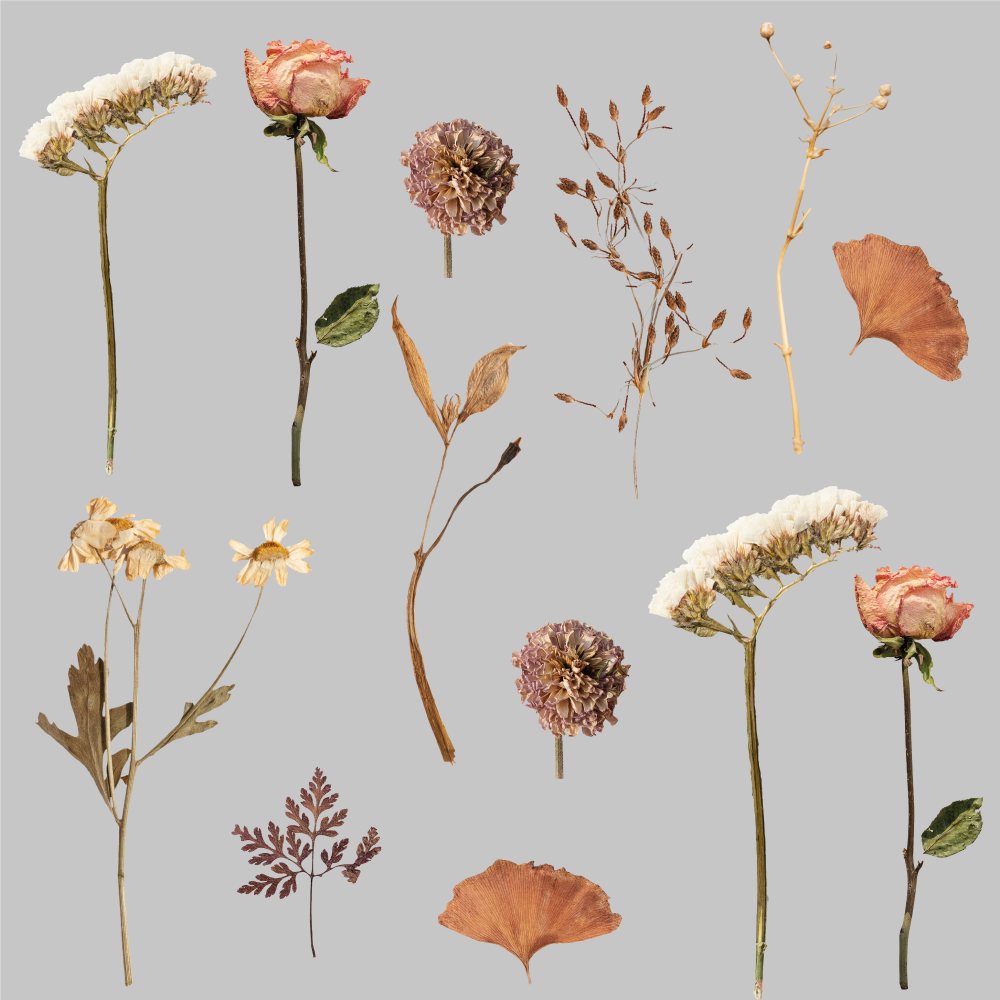 Tappeto vinile fiori motivo foglie di fiori secchi - TenStickers