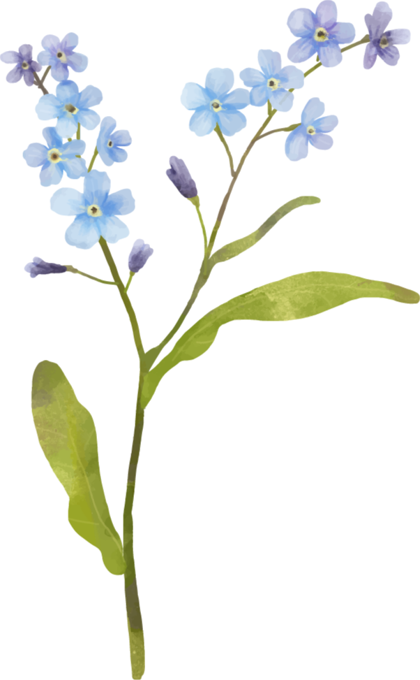 Tappeto vinile fiori pianta blu elegante - TenStickers