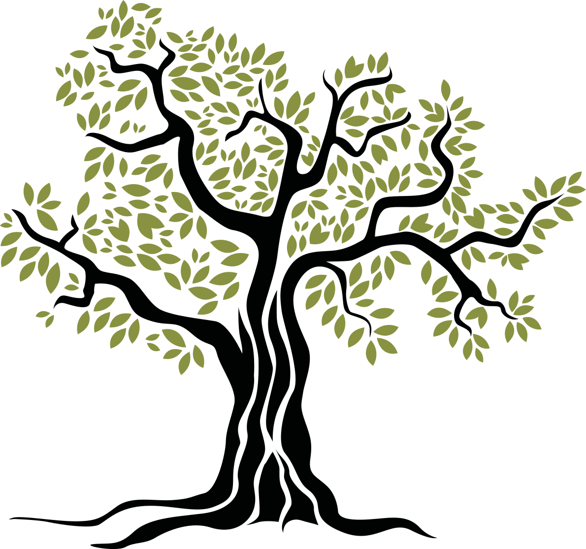 Tappeto vinile fiori albero di olivo con foglie verdi - TenStickers