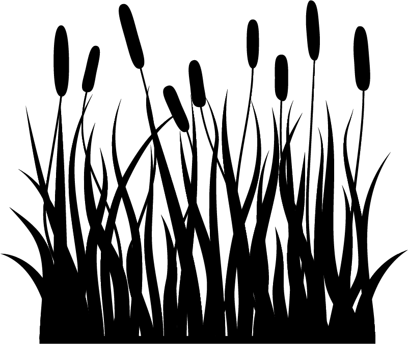 Tappeto vinile bagno giunco monocolore - TenStickers