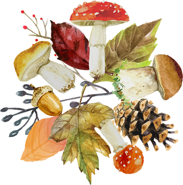 Tappeto vinile natura foglie e frutti di bosco - TenStickers