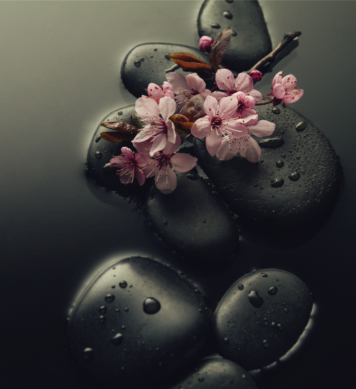 Tappeto vinile natura ambiente zen con pietra per bagno - TenStickers