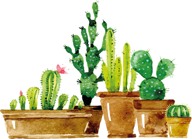 Tappeto vinile fiori giardino di cactus fai da te - TenStickers